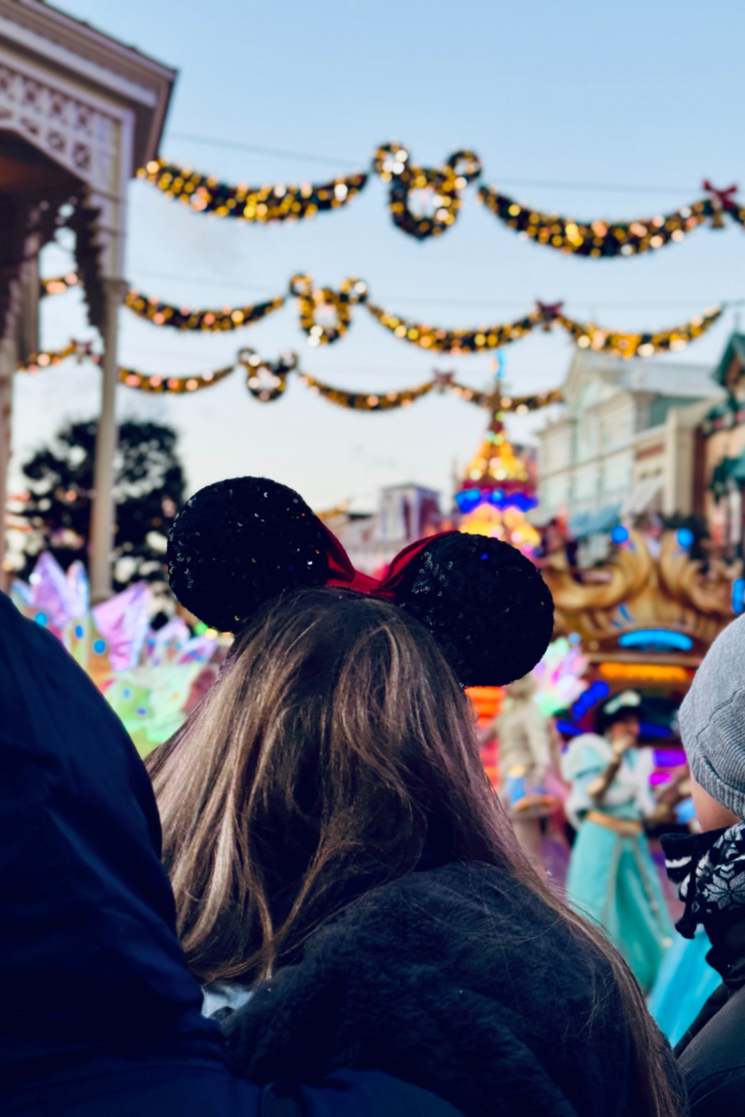 The crowd at Disneyland